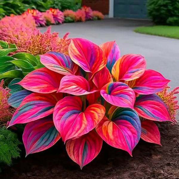 /69a7b80a069f7c000996184d/2026/04/14/product-img-69ddee10f707c0639afa4aa7.png