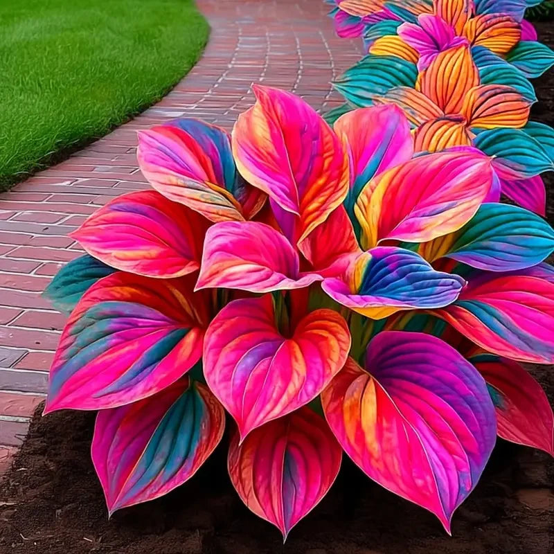 /69a7b80a069f7c000996184d/2026/04/14/product-img-69ddee11f707c0639afa4aae.png